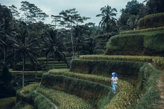 Pertanian dan pariwisata dapat berjalan beriringan, menjaga identitas Bali sekaligus memperkuat ketahanan ekonomi. (Foto: freepik.com)