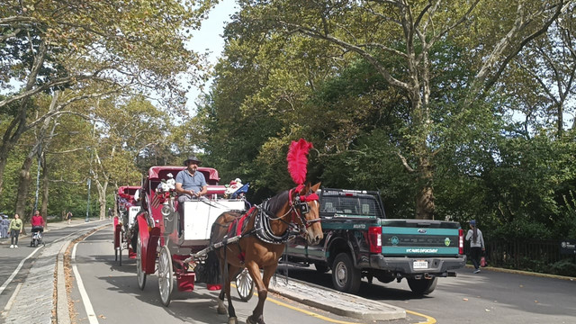 Suasana Central Park New York, Manhattan, New York, Amerika Serikat, Minggu (21/9/2025). Foto: Zamachsyari/kumparan