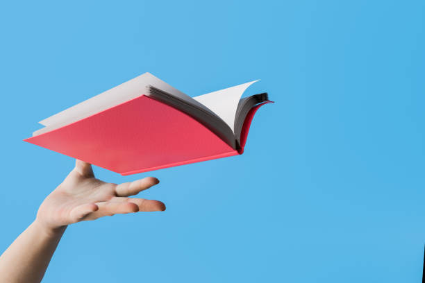 Ilustrasi Soal Olimpiade PAI SMP, Foto: Unsplash/AntonioSolano.