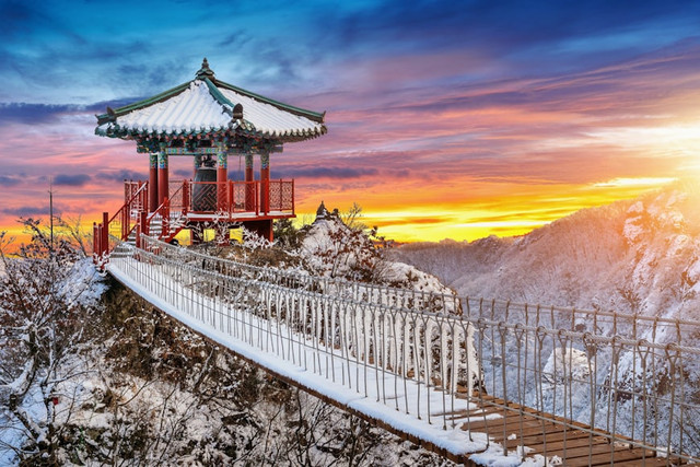 Ilustrasi Daftar Aktor YG Entertainment, Foto:Unsplash/Getty Images