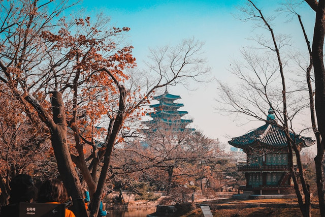 Ilustrasi Korea Selatan, Foto:Unsplash/Louie Nicolo Nimor