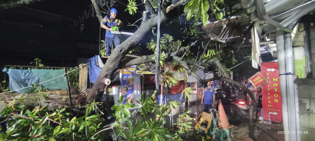 Sejumlah pohon tumbang akibat hujan angin yang melanda di kawasan Bojong Gede, Bogor Senin (22/9/2025). Foto: kumparan