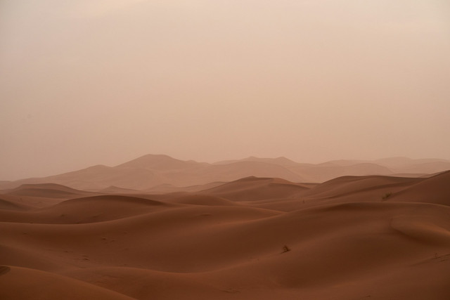 Ilustrasi badai pasir di gurun. Foto: Unsplash