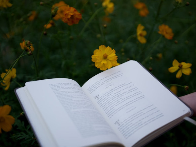 Ilustrasi Contoh Soal TKA Bahasa Indonesia, Foto:Unsplash/Aaron Burden