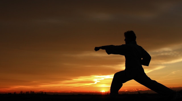 Ilustrasi prompt AI kungfu. Foto: Alci Alliata/Unsplash