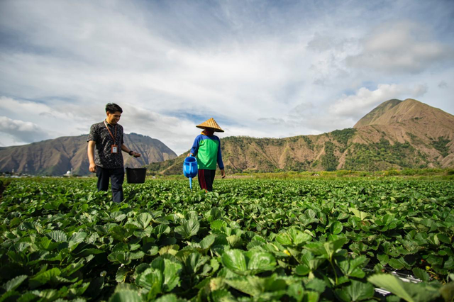 Petani bersama petugas BRI. Foto: Dok. BRI