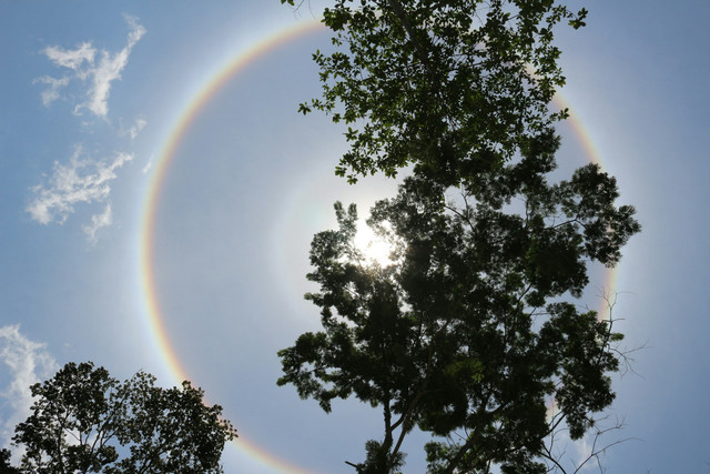 Ilustrasi fenomena halo matahari. Foto: Unsplash