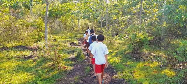 Gambar : Siswa berjalan kaki menuju sekolah. Sumber : Doc. Erik Jumpar