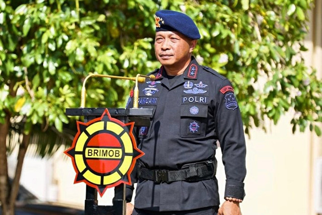 Irjen Pol Ramdani Hidayat. Foto: Dok. Humas Korps Brimob Polri