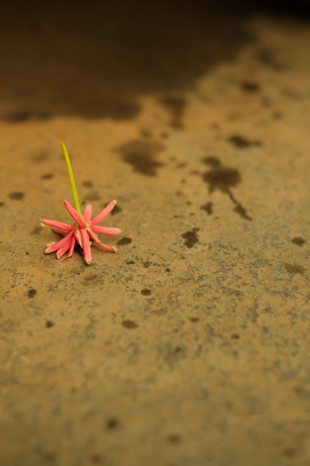 Sumber: Koleksi pribadi penulis.