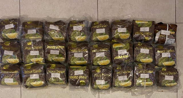 Pengungkapan Kasus Narkotika Jenis Sabu Jaringan Malaysia Seberat 24,6 Kg. Foto: Dok. Istimewa