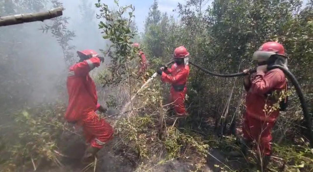 Tim Manggala Agni saat memadamkan kebakaran di lahan gambut Pangkalan Lampam, Ogan Komering Ilir (OKI). Foto : Dok. Balai Pengendalian Kebakaran Hutan Kementerian Kehutanan