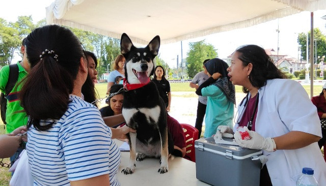 Pelaksanaan vaksinasi rabies gratis untuk hewan peliharaan di Kota Manado, dalam rangka peringatan Hari Rabies Sedunia, Sabtu 27 September 2025.
