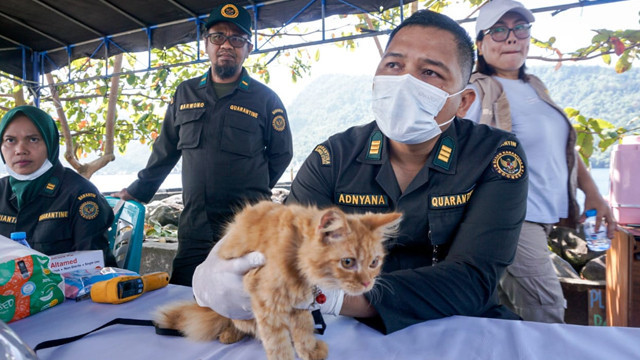 Karantina Sulawesi Utara terlibat langsung dalam kegiatan pemberian 1.000 dosis vaksin rabies gratis untuk hewan penular rabies seperti anjing dan kucing yang diselenggarakan ASOHI dan PDHI Sulawesi Utara.