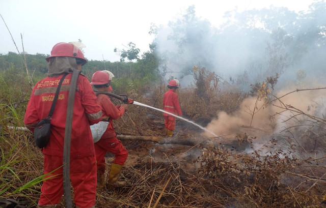Tim Manggala Agni saat memadamkan kebakaran di lahan gambut OKI. Foto : Dok. Balai Pengendalian Kebakaran Hutan Kementerian Kehutanan