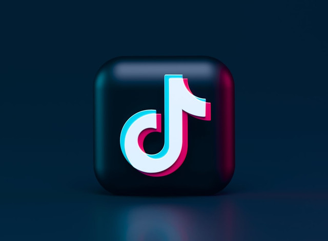 Ilustrasi Cara Mematikan Kunjungan Profil TikTok   Sumber Unsplash/Alexander Shatov