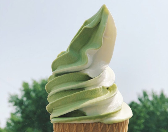 Apakah Mixue Ada Menu Matcha? Sumber: unsplash/Hanmer Zh