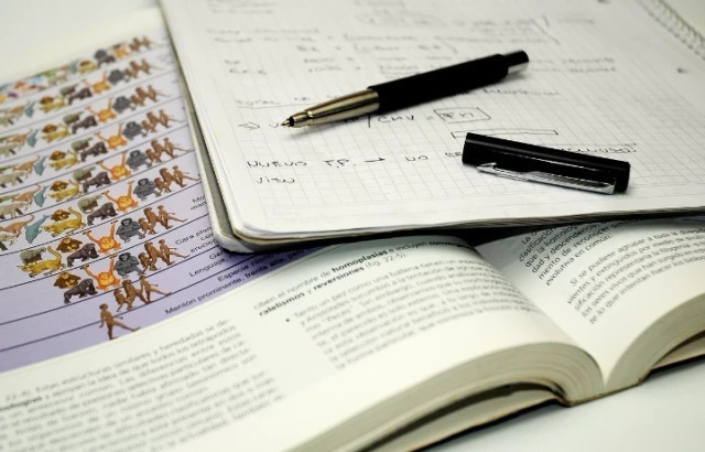 Ilustrasi contoh soal ANBK kelas 5 Literasi. Foto: Pixabay/Paulabassi2