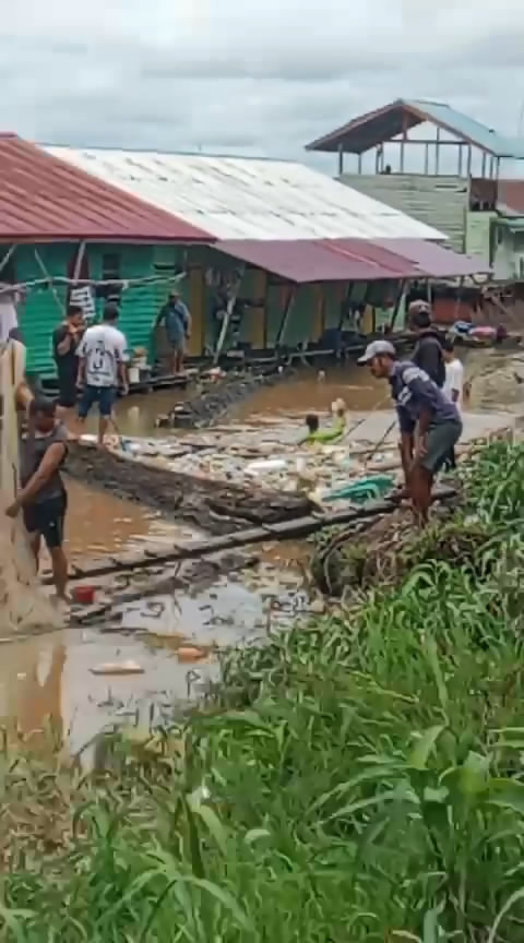 Warga berebutan ikan toman yang lepas usai kapal bandong karam di Sungai Kapuas. Foto: Dok. Istimewa