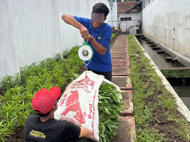 Ketahanan Pangan Berjalan, Rutan Temanggung Kembali Panen Kangkung
