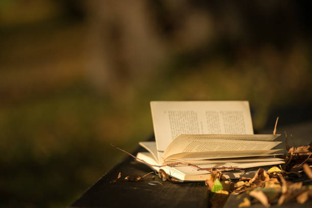 Ilustrasi halaman buku yang terbuka di atas kayu. (Sumber: https://www.istockphoto.com)