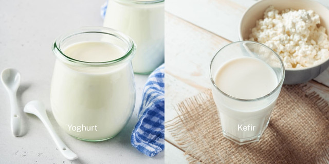 Ilustrasi yoghurt dan kefir (freepik)