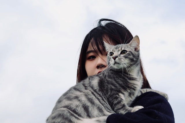 Ilustrasi prompt Gemini AI foto bareng kucing. Foto: Werzk Luuuuuuu/Unsplash