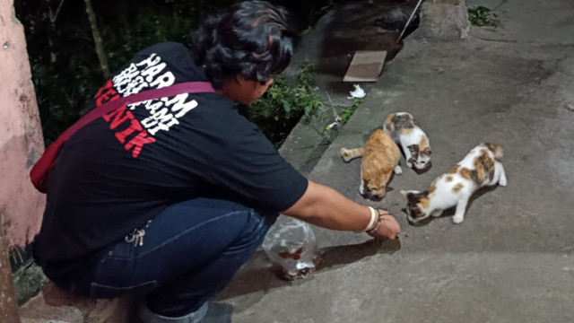 Anggota Kelompok Pecinta Alam di Kota Manado memberikan makanan untuk kucing dan anjing pada peringatan Hari Hewan Sedunia.