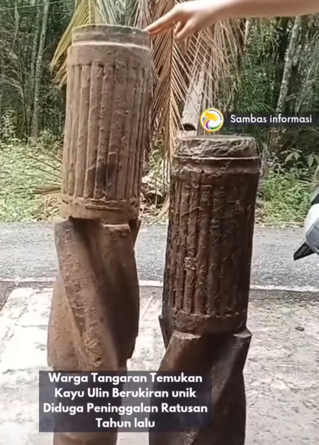 Seorang warga asal Kabupaten Sambas, Kalbar menemukan kayu ulin berukiran unik. Foto: Dok. Instagram @sambasinformasi
