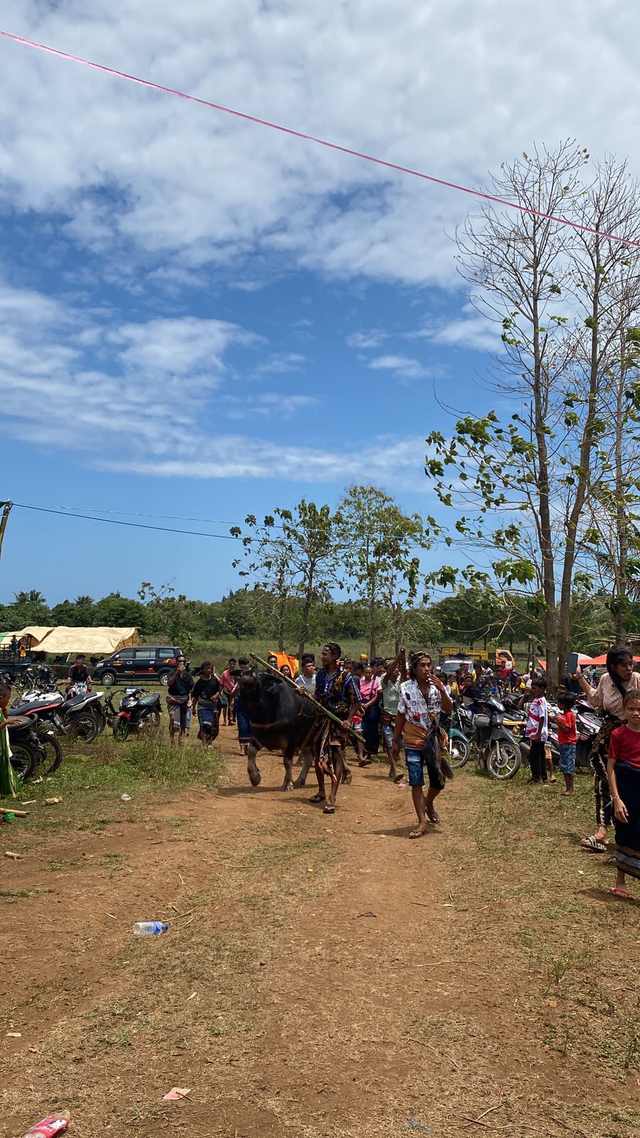 Pesta Adat di Desa Maliti Bondo Ate, Sumba Barat Daya (Dokumentasi Pribadi)