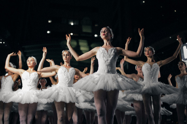 Ilustrasi Jadwal Swan Lake Concert 2025 dan Link Beli Tiketnya, Unsplash/Michael Afonso
