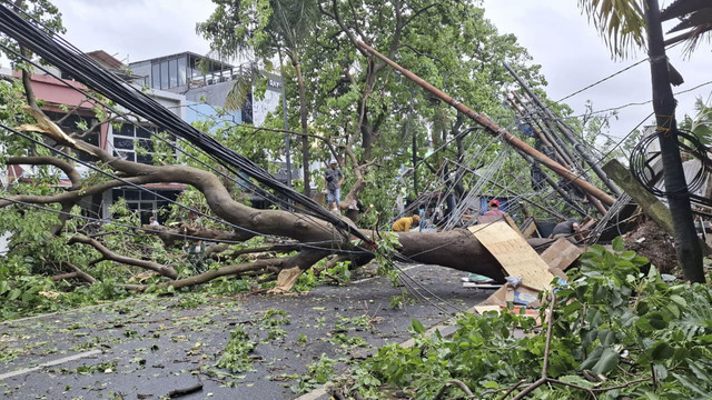 Dua pohon Rengas berukuran 10-15 meter tumbang di jalan Jombang Raya, Kelurahan Pondok Pucung, Kecamatan Pondok Aren, Tangerang Selatan hingga menutup akses jalan, Selasa (7/10/2025). Foto: Dok. Istimewa