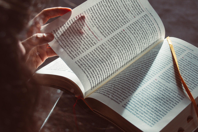 Ilustrasi Buku Pendidikan: Sumber (https://pixabay.com/id/photos/buku-kitab-suci-baca-pendidikan-6957870/)