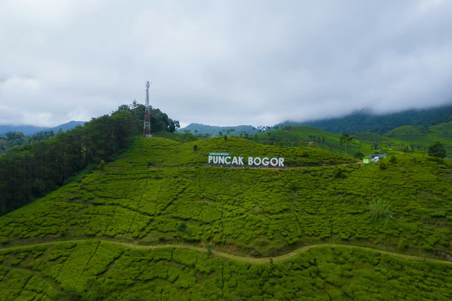 Jadwal buka tutup Puncak hari ini, foto hanya ilustrasi: Unsplash/Ammar Andiko