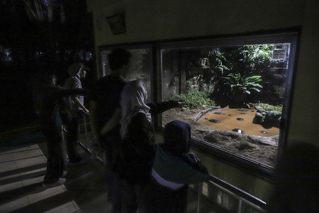 Pengunjung berwisata saat malam hari di Taman Margasatwa Ragunan, Jakarta, Sabtu (11/10/2025). Foto: Darryl Ramadhan/kumparan