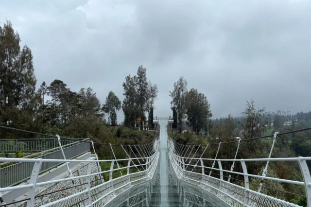 Penampakan Jembatan Kaca di kawasan wisata Gunung Bromo yang menghubungkan antara Seruni Point dengan shuttle area pemandangan Gunung Bromo, Gunung Bathok, dan Gunung Semeru. Foto: Balai Besar TNBTS/HO Antara