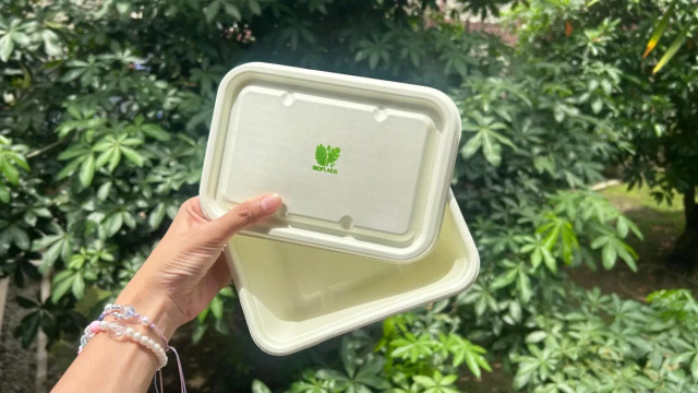 Mahasiswa USU bikin kemasan makanan ramah lingkungan dari pelepah sawit dan daun pepaya. Foto: Universitas Sumatera Utara