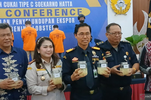 Kantor Bea Cukai Soekarno-Hatta Gatot Sugeng Wibowo menunjukan barang bukti hasil ungkap kasus pencegahan penyeludupan benih bening lobster (BBL) ke Singapura. Foto: Azmi Samsul Maarif/ANTARA
