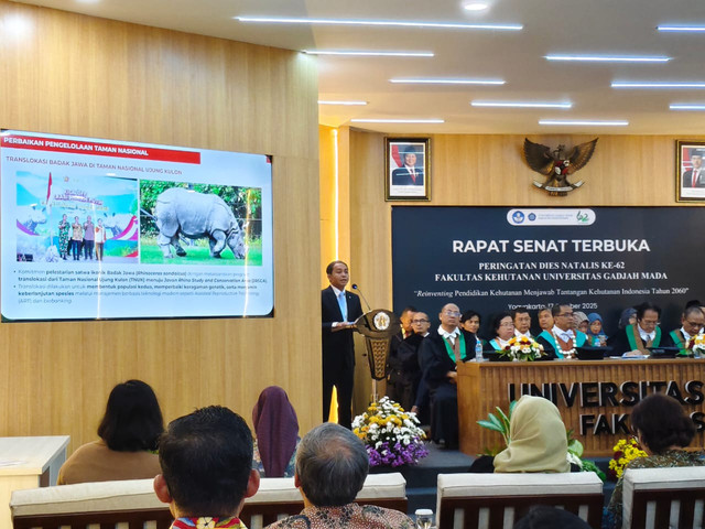 Menteri Kehutanan Raja Juli Antoni berpidato di Rapat Senat Terbuka Peringatan Dies Natalis ke-62 Fakultas Kehutanan UGM di Auditorium Fakultas Kehutanan UGM, Jumat (17/10). Foto: Arfiansyah Panji Purnandaru/kumparan