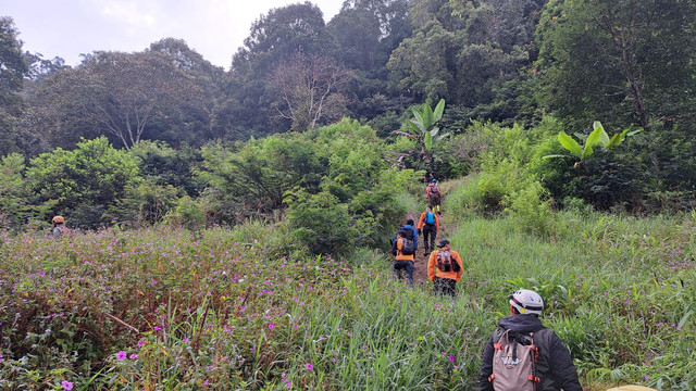 Tim SAR gabungan melakukan pencarian seorang ayah dan anak yang hilang di Gunung Bukittunggul Lembang. Foto: Basarnas Bandung