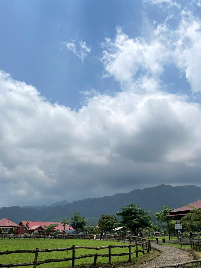 Pemandangan bukit sekitar Menggala Ranch (Sumber : Alya Nazila Putri)