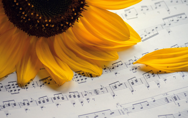 Ilustrasi makna dan lirik lagu katresnan sejati. Sumber: Pixabay/neelam279