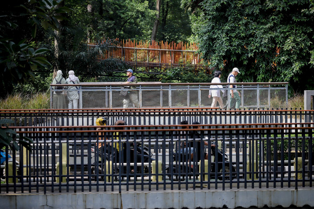 Sejumlah pengunjung beraktivitas di Tebet Eco Park, Jakarta Selatan, Selasa (21/10/2025).  Foto: Jamal Ramadhan/kumparan