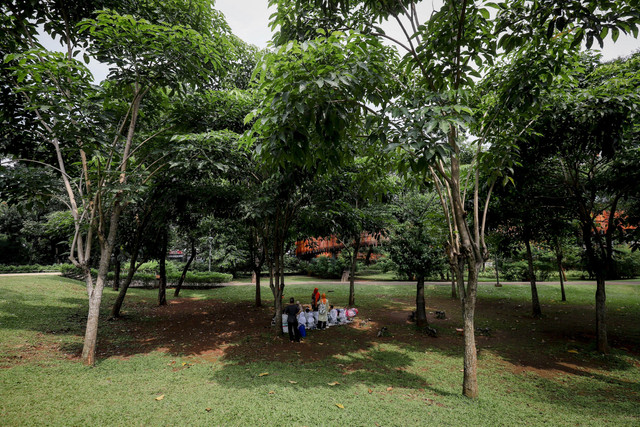 Sejumlah pengunjung beraktivitas di Tebet Eco Park, Jakarta Selatan.  Foto: Jamal Ramadhan/kumparan
