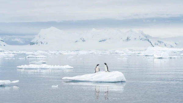 Ilustrasi mencairnya es di kawasan kutub akibat krisis iklim dunia. https://www.shutterstock.com/image-photo/two-penguins-stand-on-iceberg-surrounded-2512140027