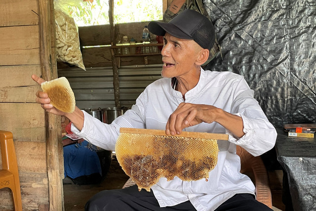 Bustam, petani madu di Desa Aur Duri, Muara Enim, Sumatera Selatan.
 Foto: Najma Ramadhanya/kumparan