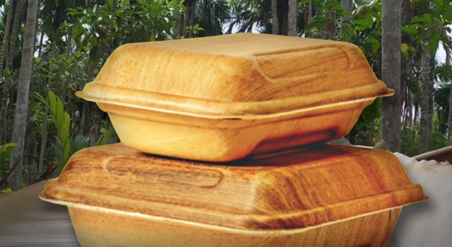 Tim periset BRIN memanfaatkan teknologi biomassa untuk mengubah serat tumbuhan menjadi wadah atau kemasan yang aman bagi alam. Foto: Dok. Instagram/@brin_indonesia