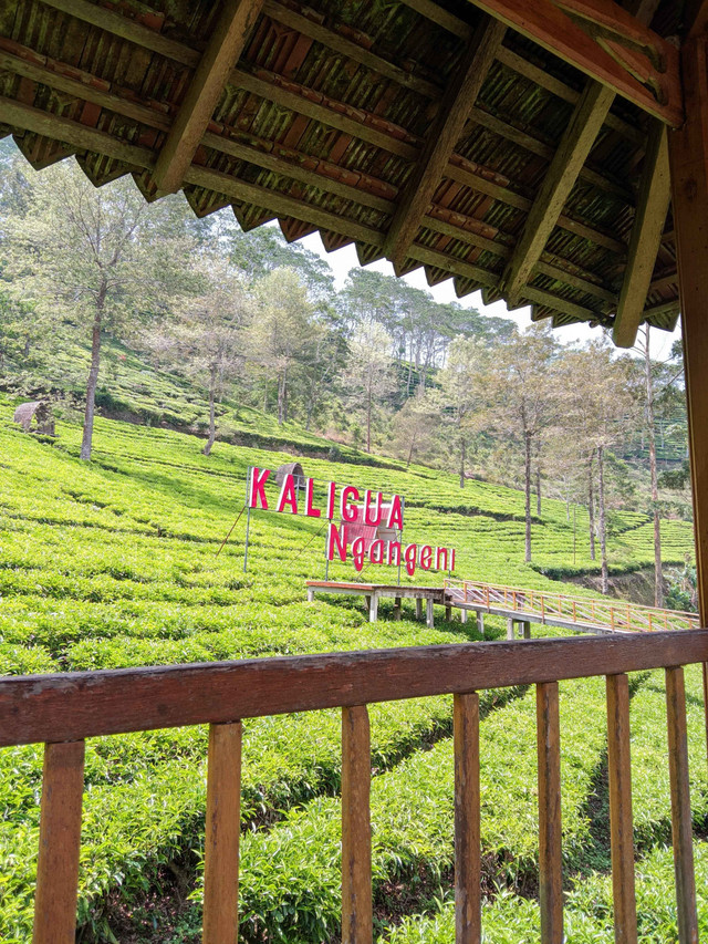 foto pemandangan dari jembatan kayu, Sumber : Silfia Hani (pribadi) 