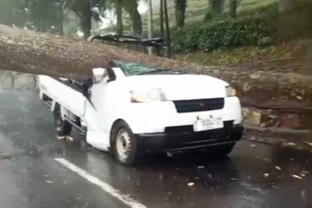 PIkap bermuatan nanas yang tertimpa pohon di jalur wisata Ciater, Rabu (22/10/2025). Foto: Dok. Istimewa