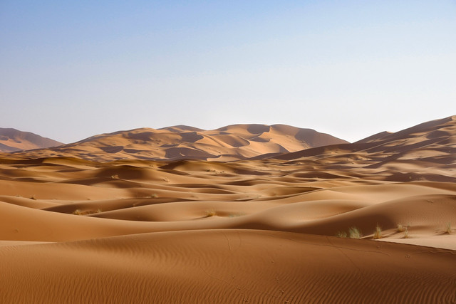 Ilustrasi gurun pasir. Foto: Unsplash